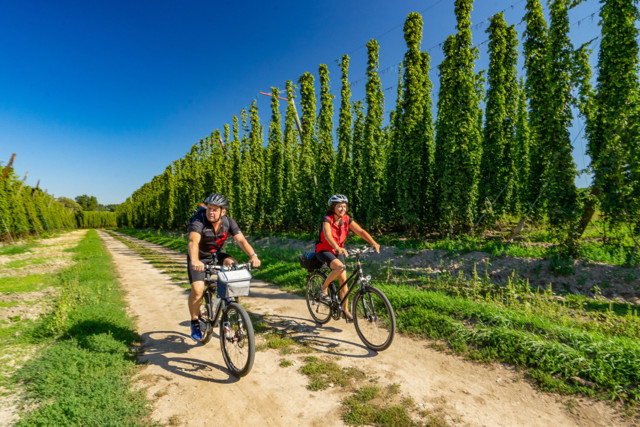Mit dem Rad geht es von Bad Gögging aus entlang der flachen Fluss-Auen von Donau und Abens sowie in das hügelige Hinterland der Hallertau.