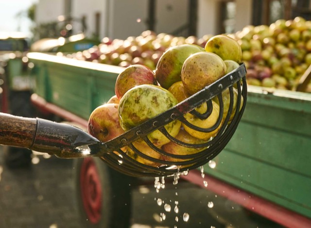 Apfelwäsche bei der Obstbrennerei Voglbauer in Bad Füssing